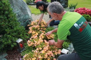 Blumen-Regenold-Grabpflege