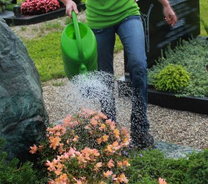 Blumen-Regenold-Gießservice